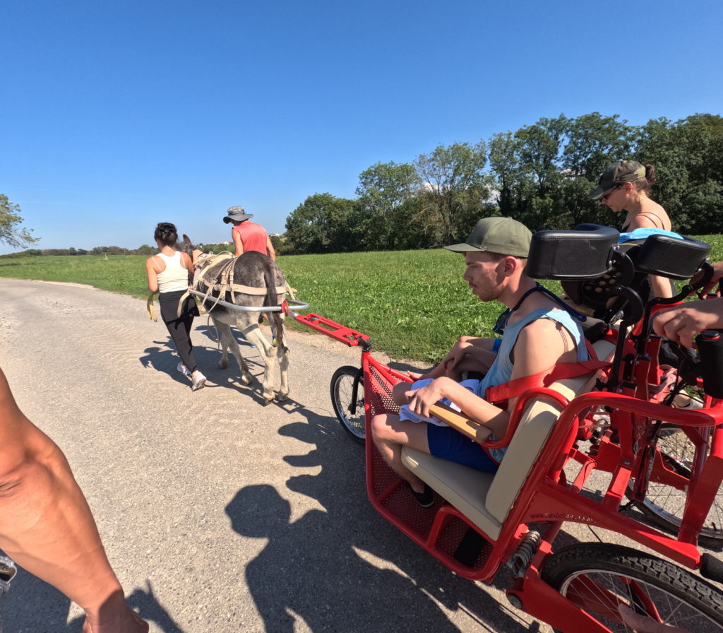 Dcim100goprogopr0308.jpg Fondation Loisirs Pour Tous